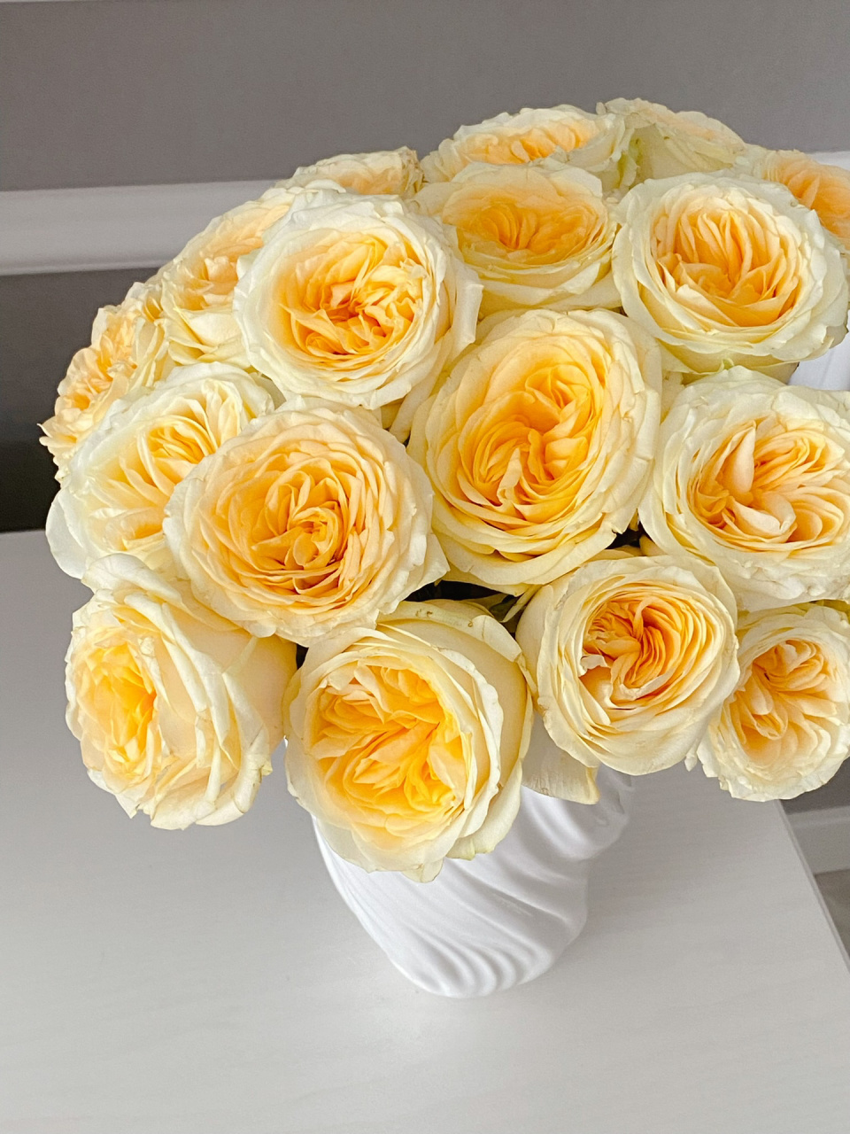 奶油杯玫瑰 太爱了,这种奶油色真的太喜欢了,之前买过一次,基本没怎么