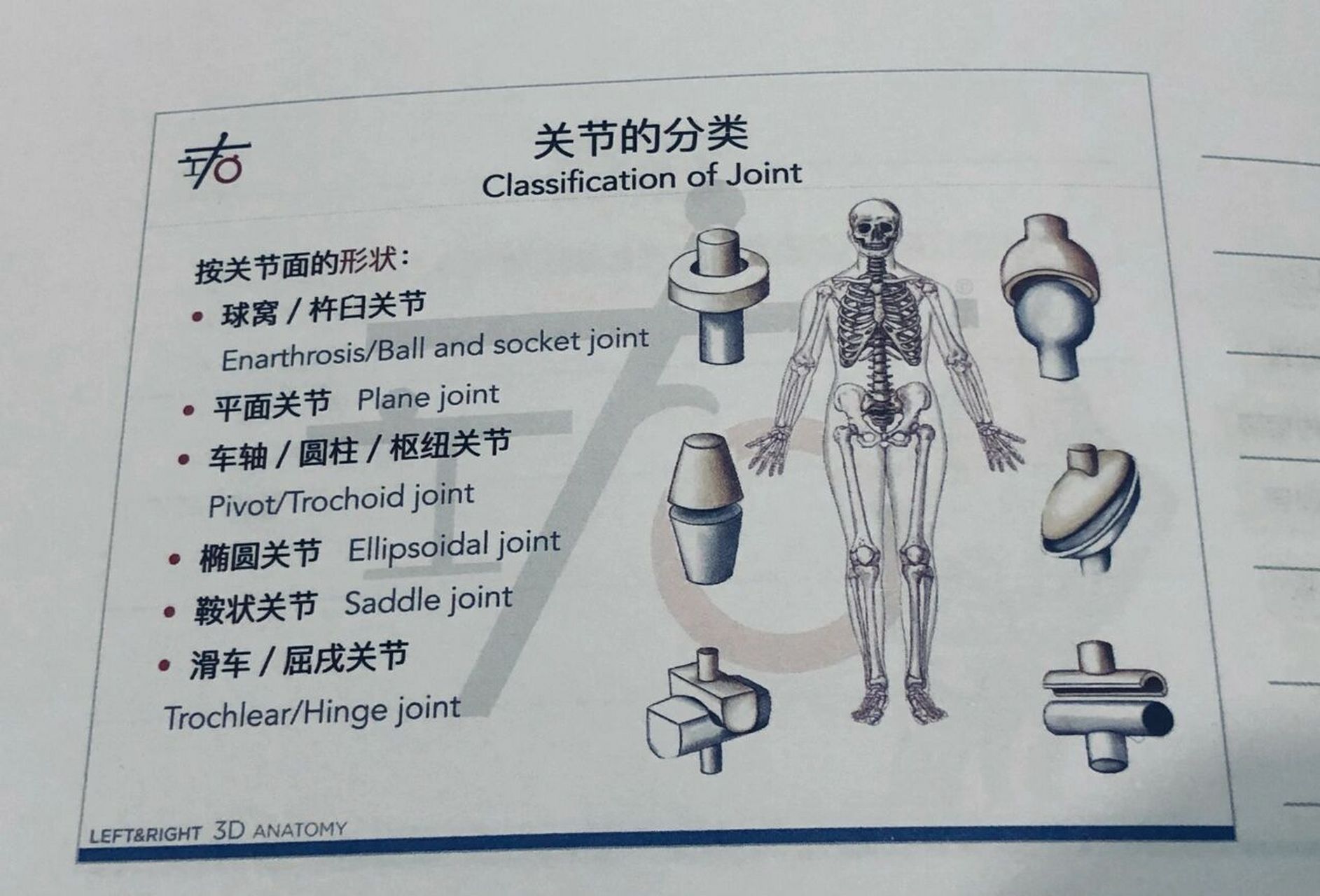 关节的分类有以下几种: 第一,按运动轴的数目分,可以分为单轴关节