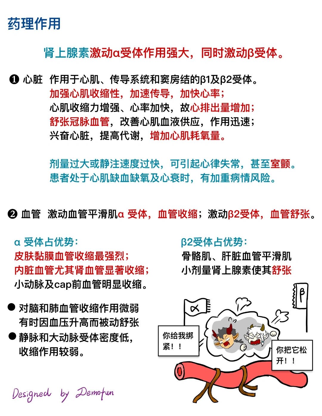 去甲肾上腺素的作用图片