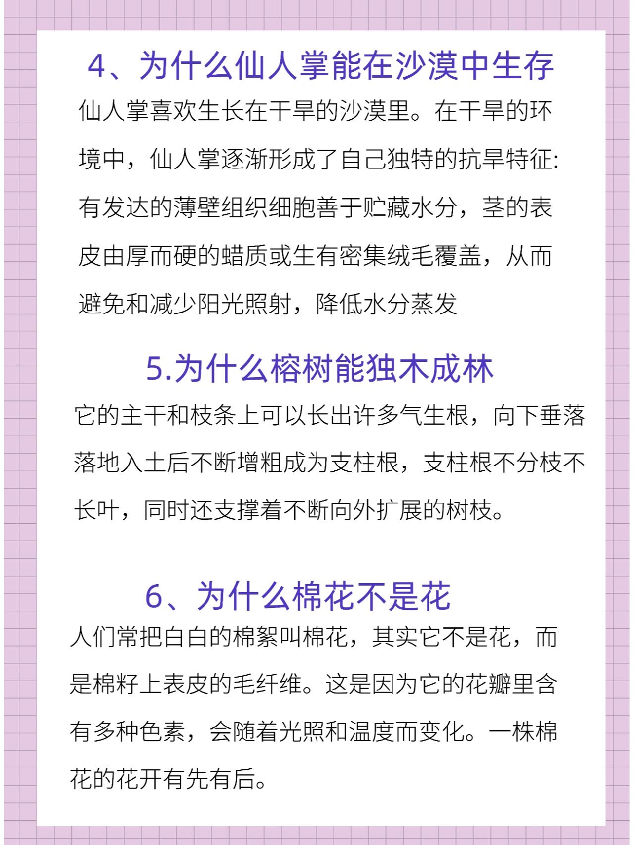 满足孩子好奇心95十万个为什么(植物篇