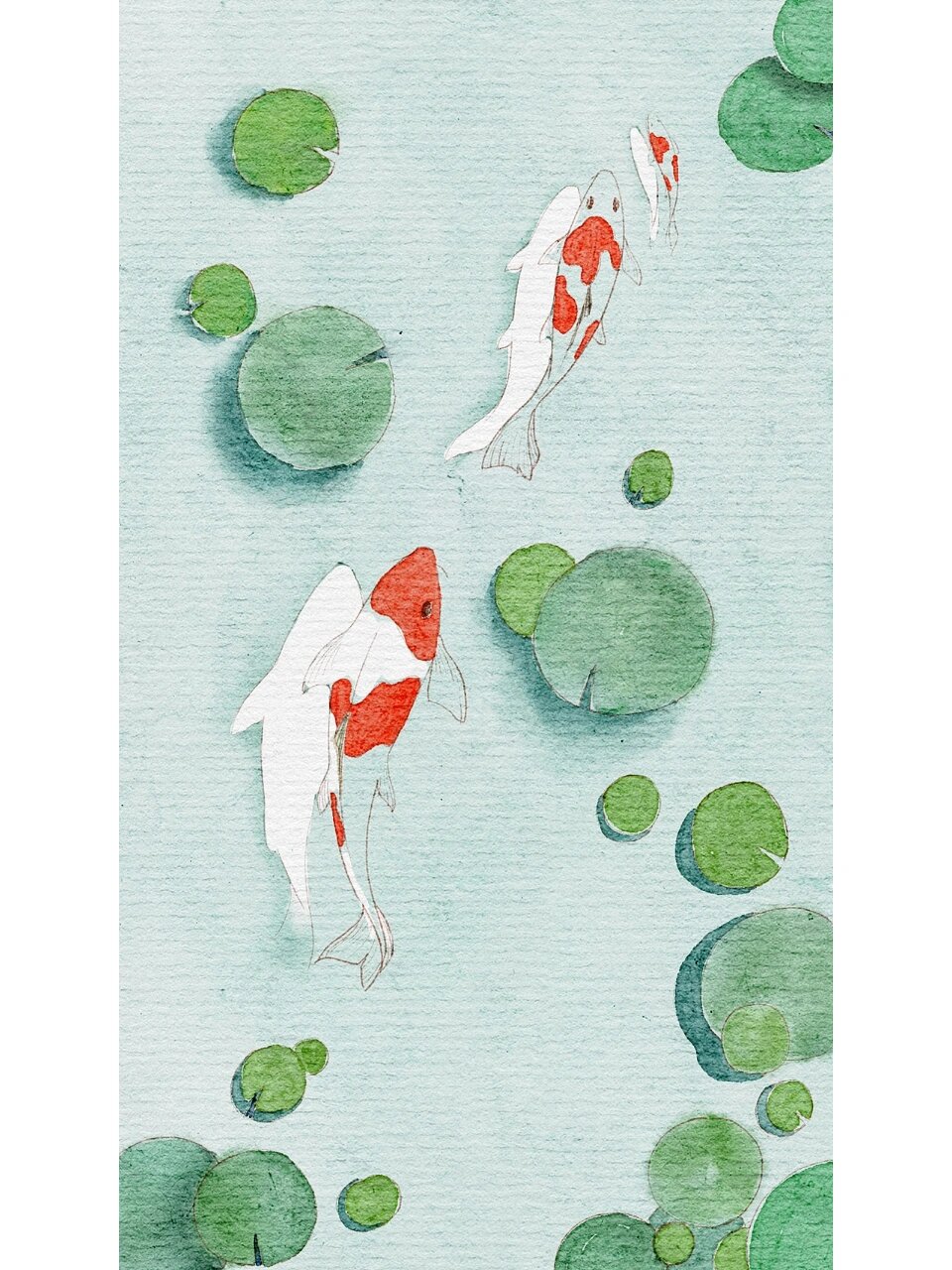 水彩荷塘锦鲤创作教程,带步骤