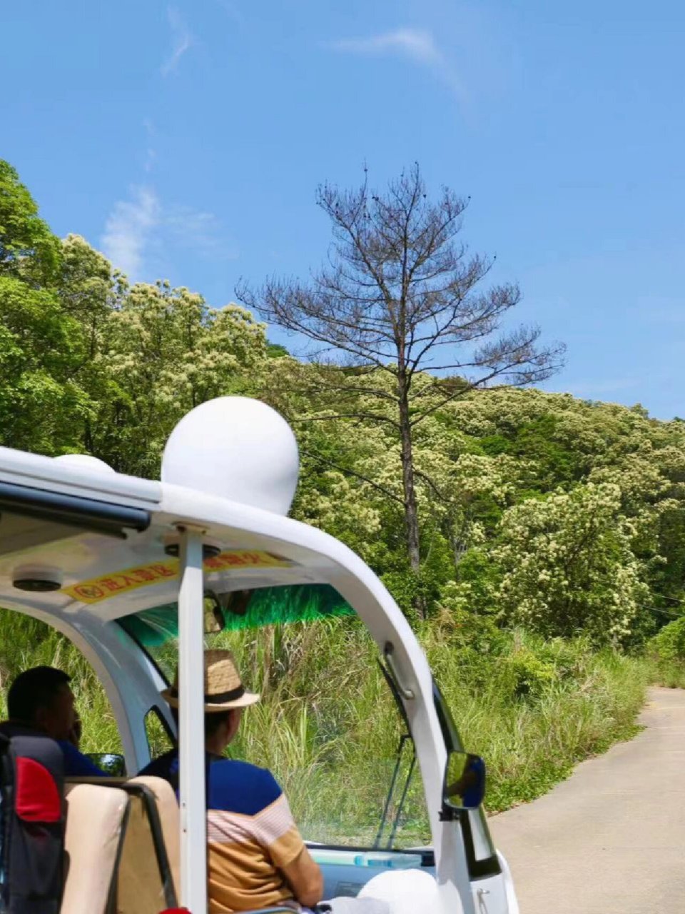 大埔瑞山|看绿吸氧远离人群潮汕周边好去处 6015自驾,汕头出发,2