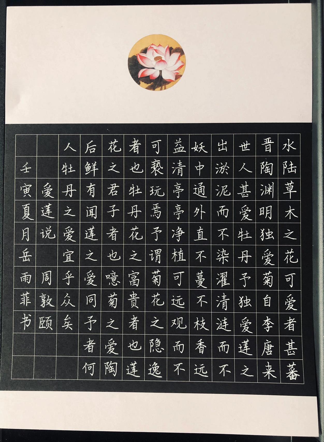 硬笔书法作品|《爱莲说》(规范字版