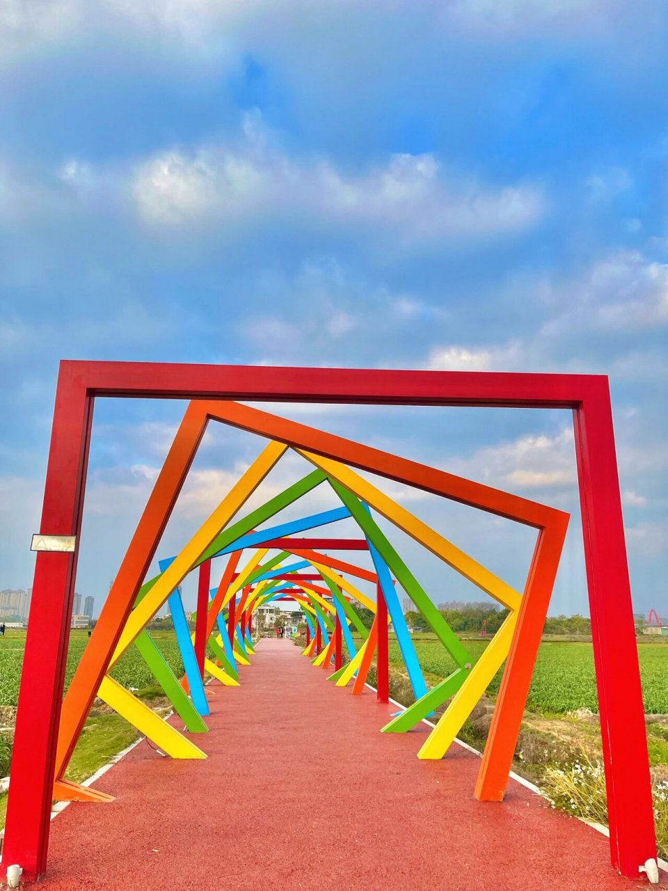 漳州游玩攻略|水仙花海|宝藏亲子游玩好地 92名称:水仙花海 99