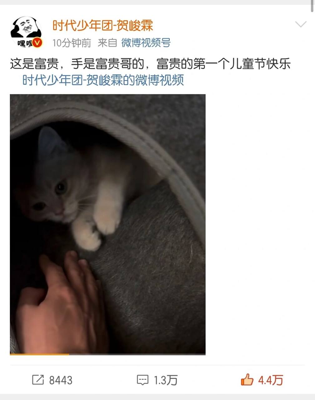 霖霖也有一只小猫诶 #tnt时代少年团# #贺峻霖