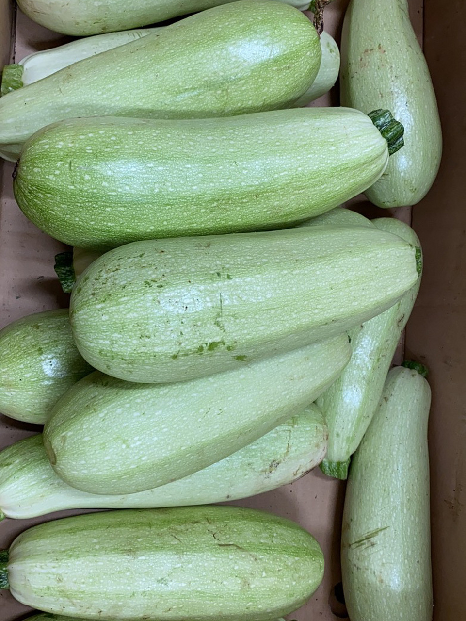 东北角瓜 我一个南方人 只会炒 所以五花肉炒角瓜 哈哈哈90 	 是