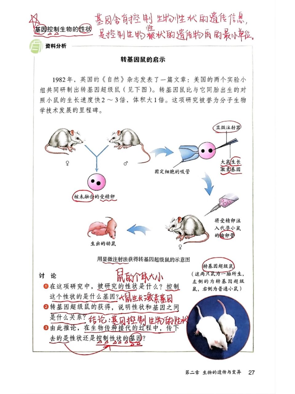 基因控制生物的性状图片