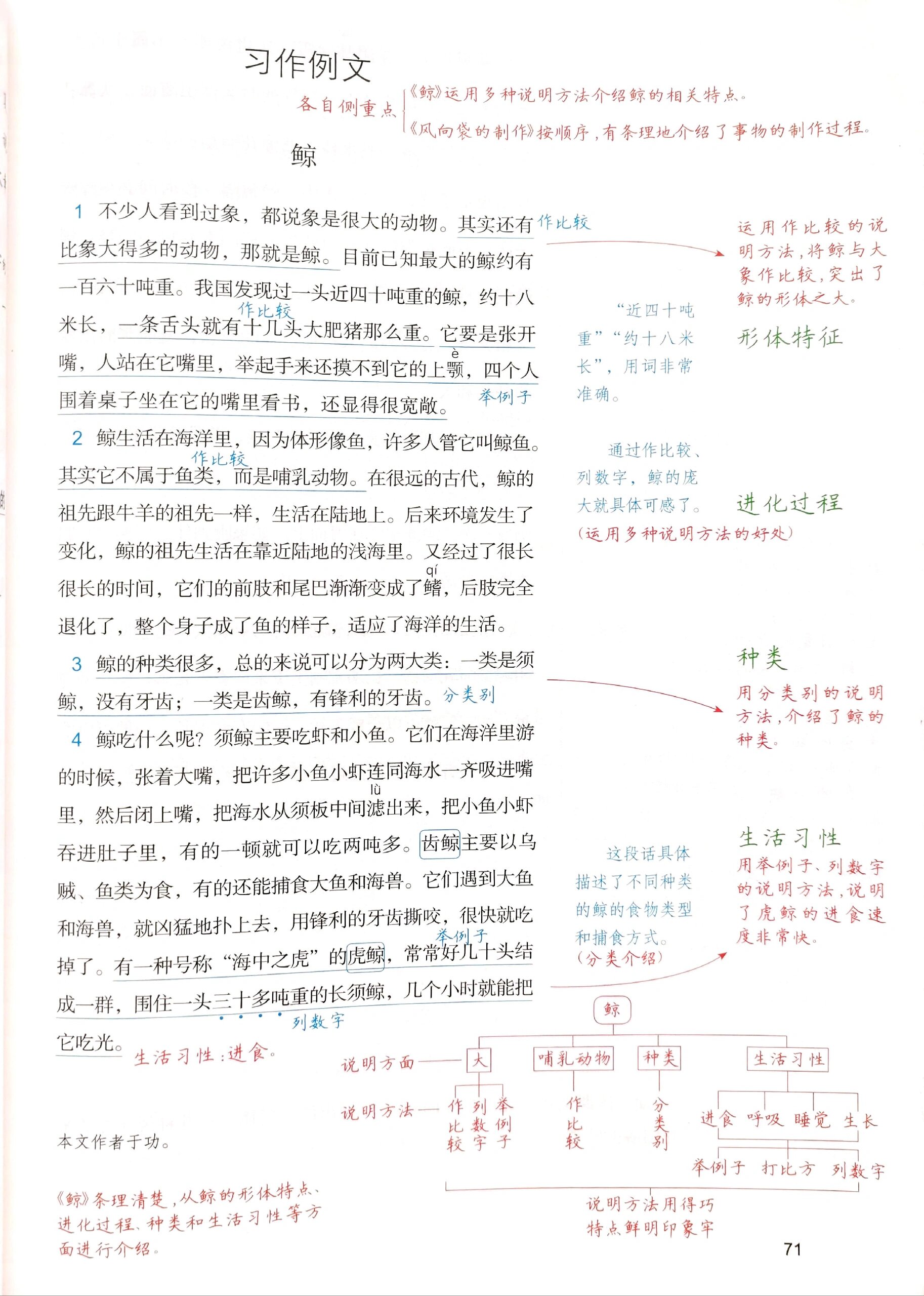 风向袋的制作课文笔记图片