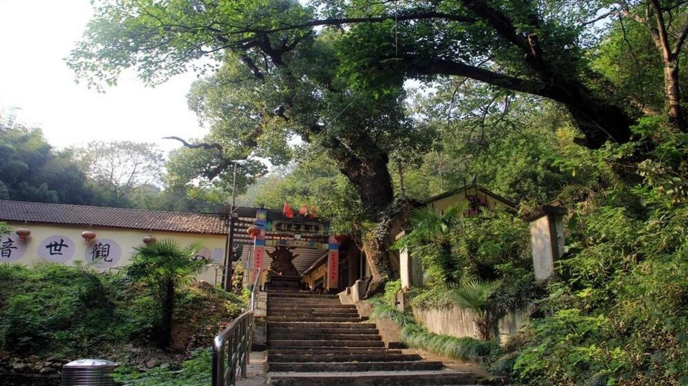 道墟称山风景区