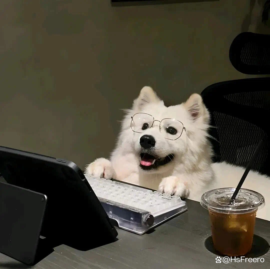 其实啊,我们单身女性也能活出精彩,别老被叫单身狗,伤自尊了