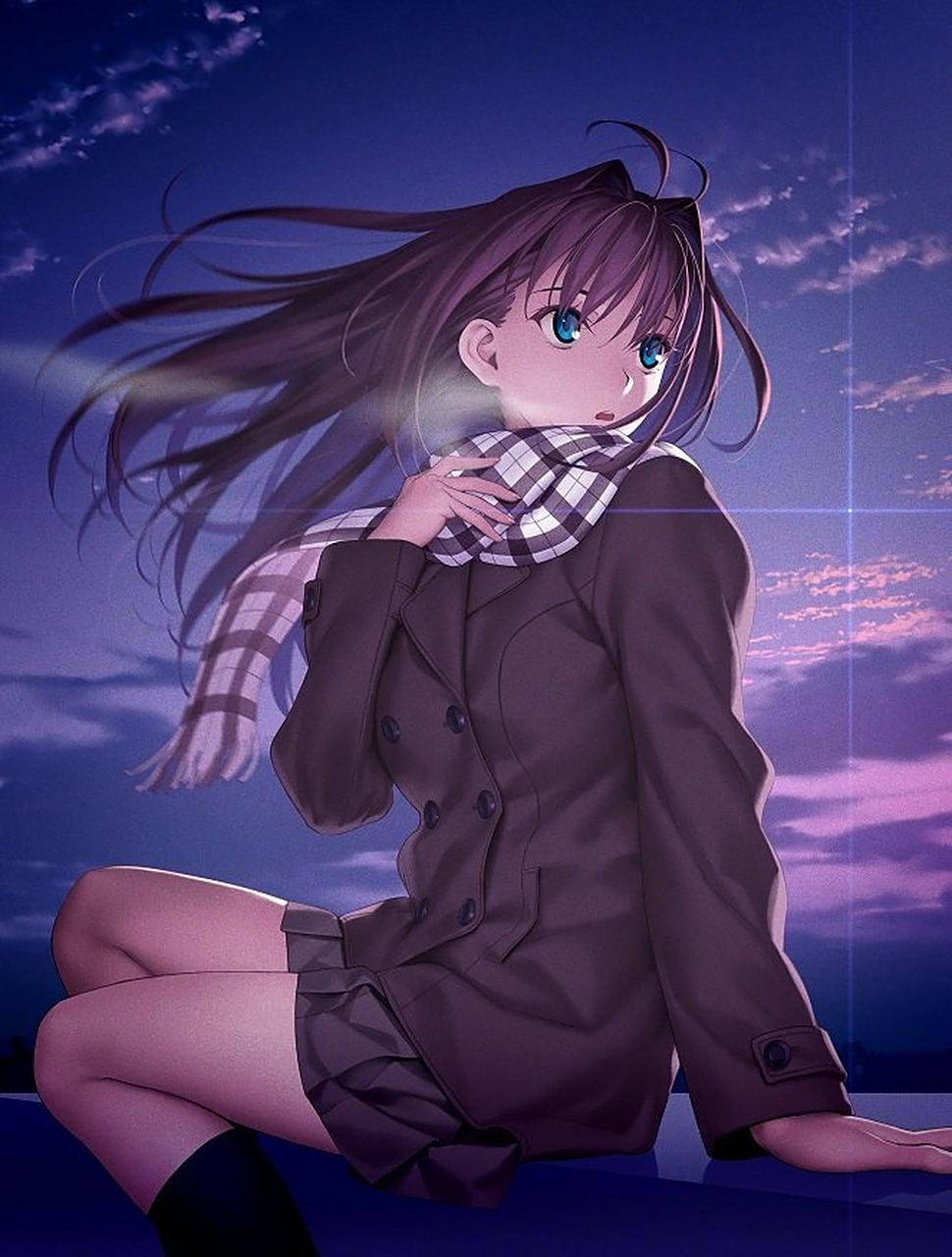 type-moon公开《魔法使之夜》实体版封面与店铺特典预览图,本作将于12