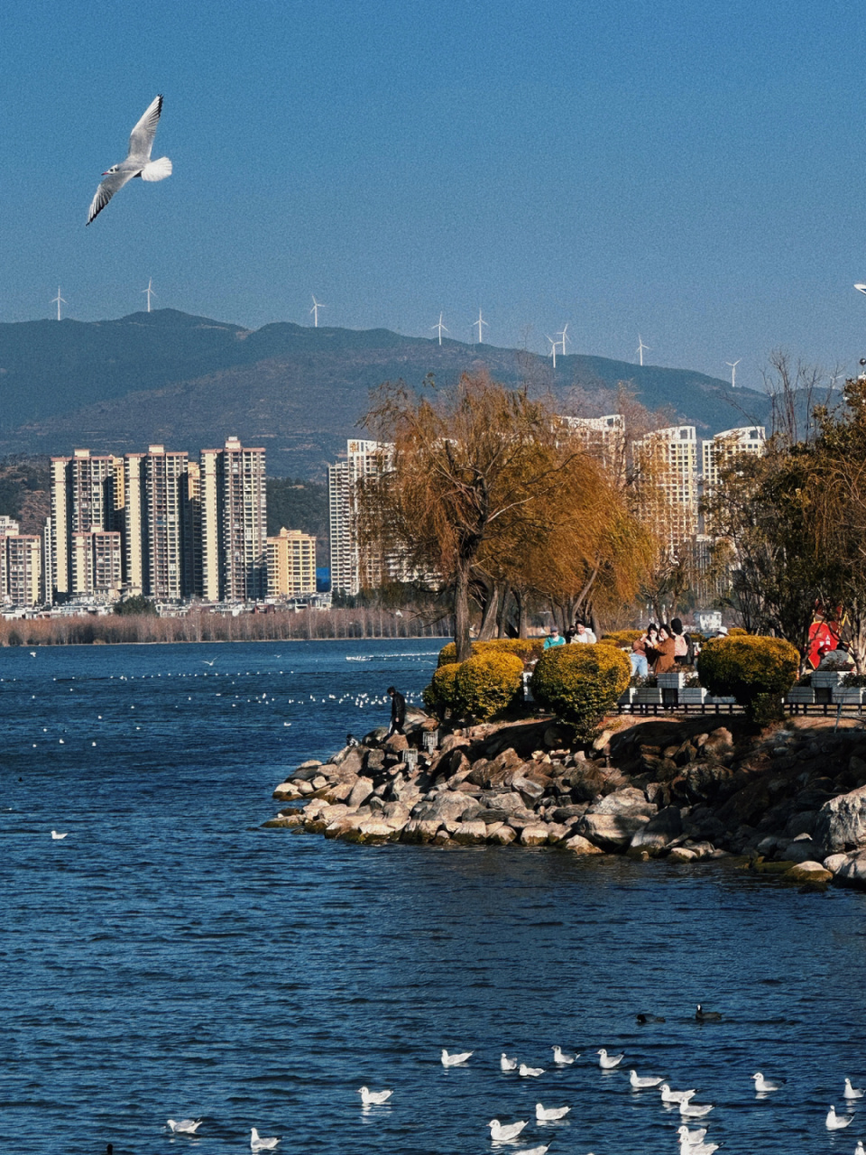 洱海公园 大理小众打卡地之95洱海公园 离高铁站很近 打车十块钱