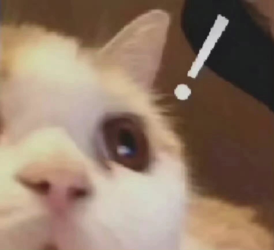 震惊猫猫头表情包