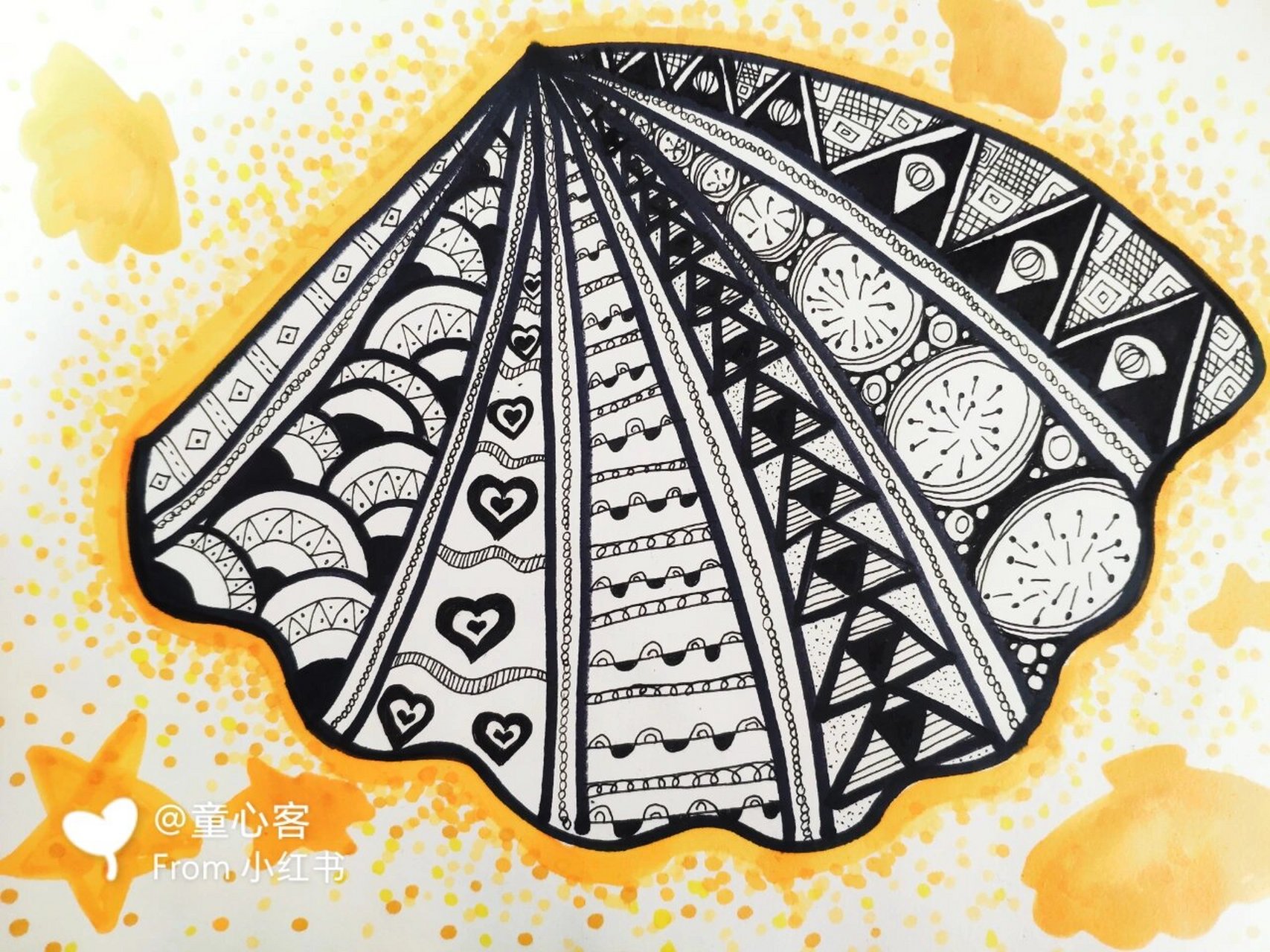 线描画丨贝壳90 常见的贝壳海螺都可以画,背景可以用深浅不同的黄色