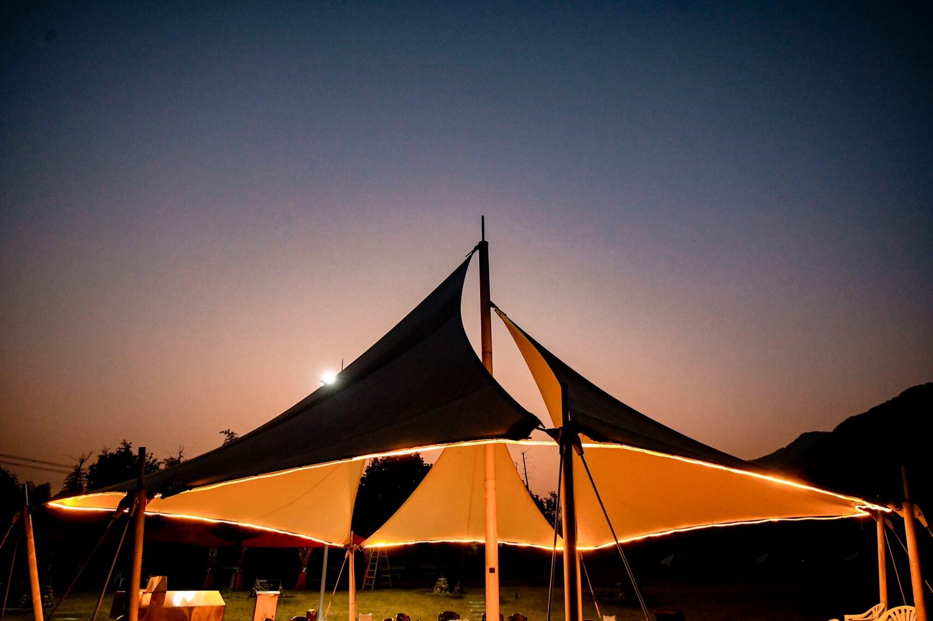 藏在古镇杭州小奈良 |打卡deer park鹿公园 99林深时见鹿,梦醒时有