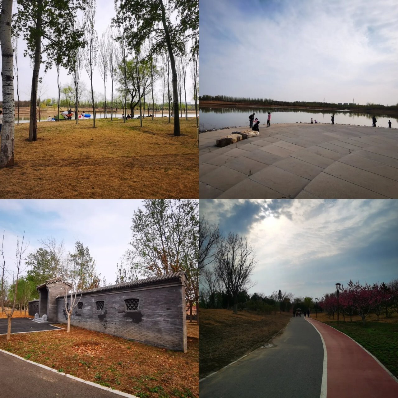 北京溜娃人少小众公园—黑桥公园 医院憋了快十天,今天带娃去了一个人