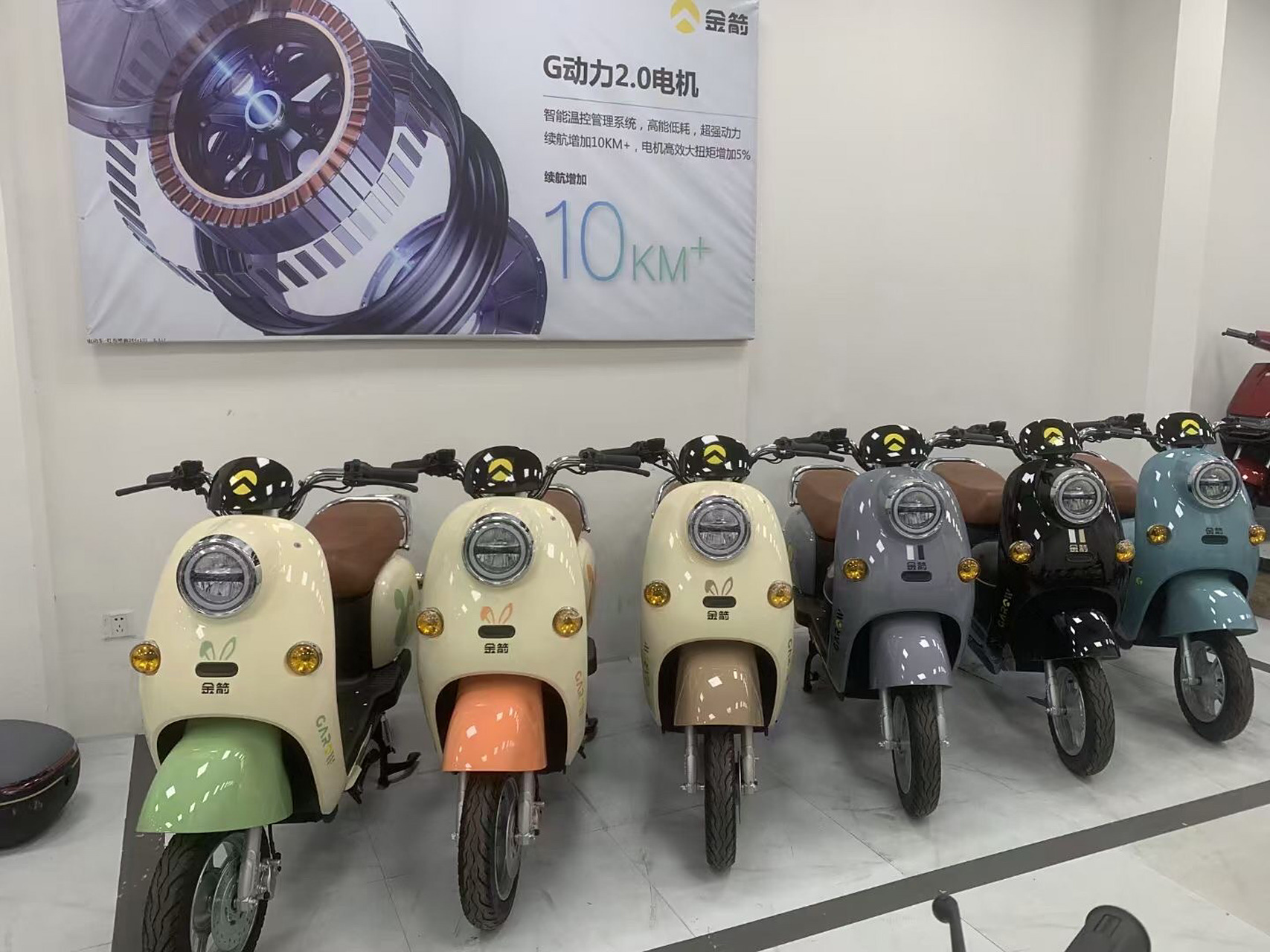 金箭真正性价比之王,2022年全国销量前四,诚邀各经销商共同发展!