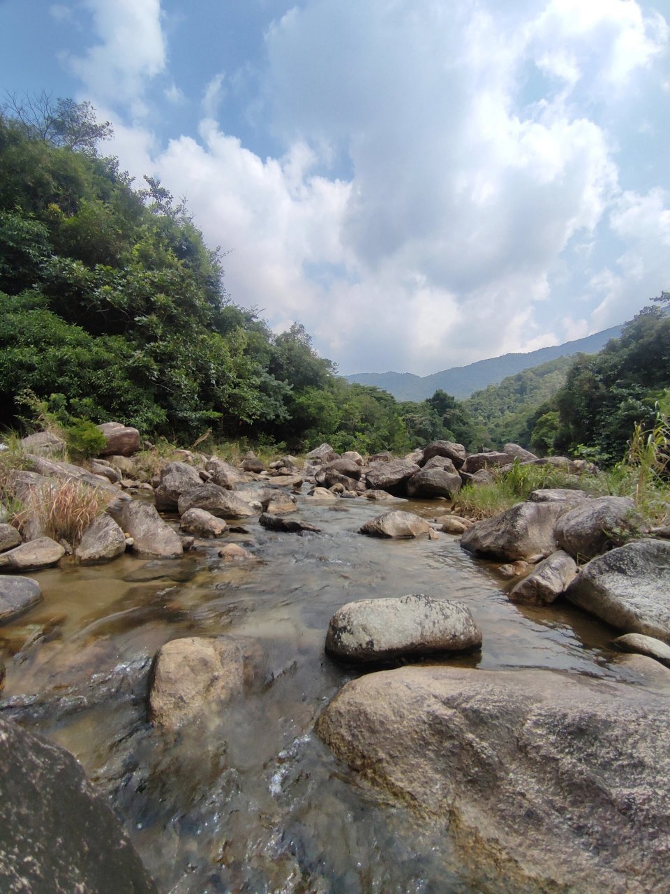 亲子游|台山北峰山森林公园溯溪玩水爬山  找到一处人不多的地方打卡