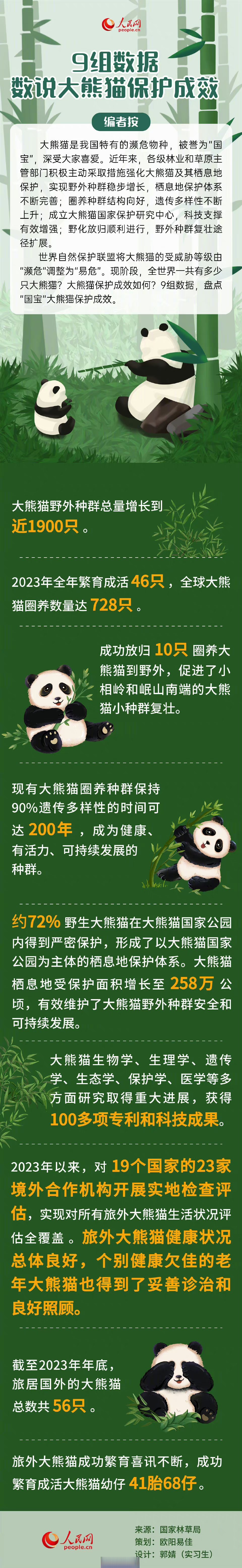 【9组数据看我国大熊猫保护成效】大熊猫受威胁等级濒危调整为易危据