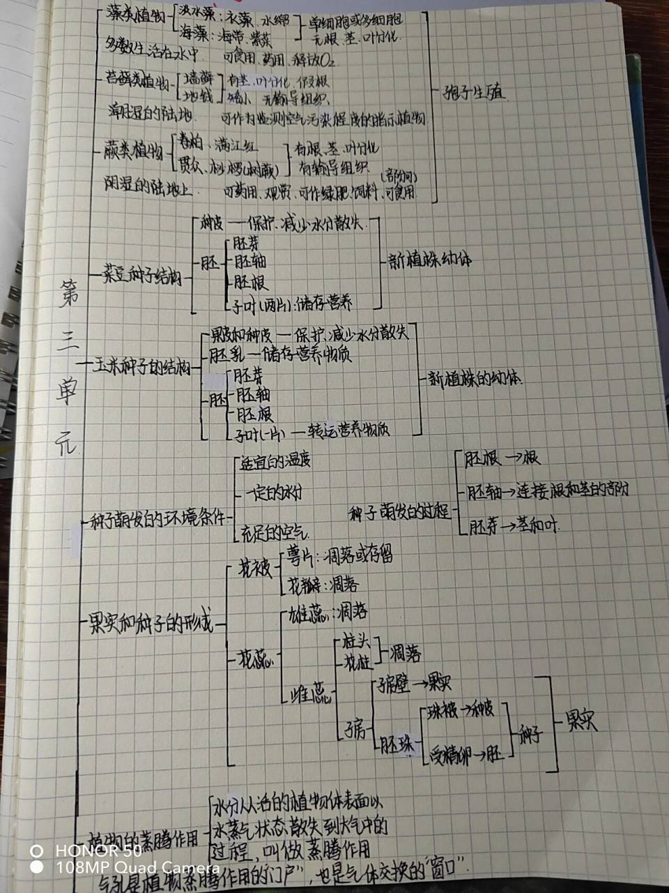 七上生物思维导图第三单元 (出到这里就没有了哟)