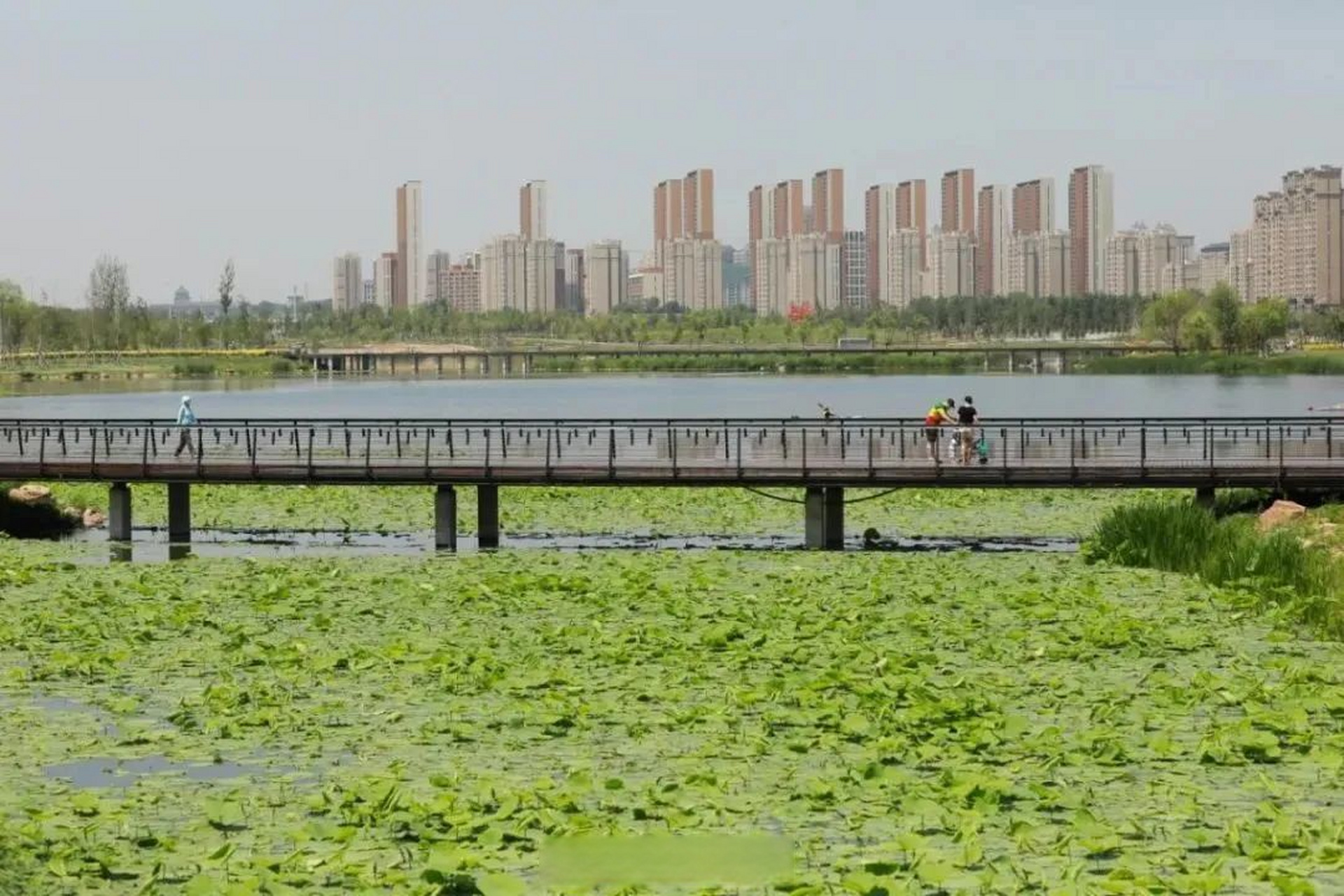 转角遇见爱# 南溪湿地公园位于伊通河上游,地处长春市南部新城核心
