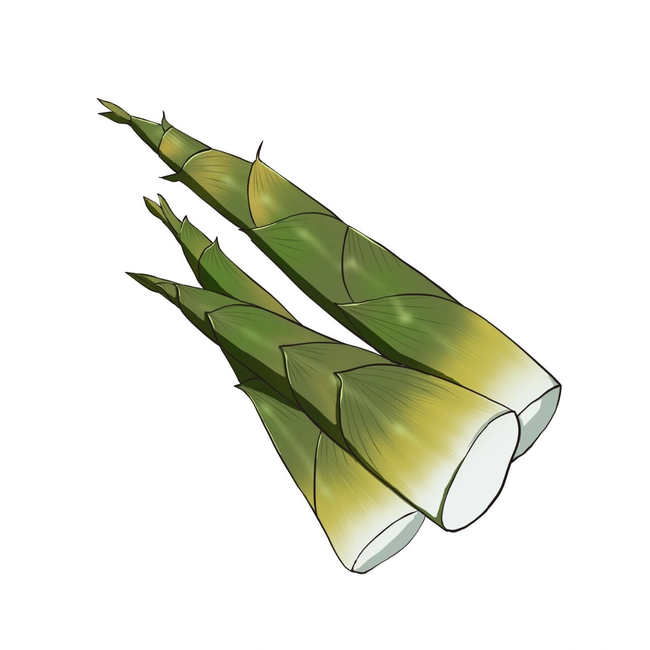 【插画素材】春季竹笋手绘插画元素 99竹笋才生黄犊角,蕨芽初长小儿