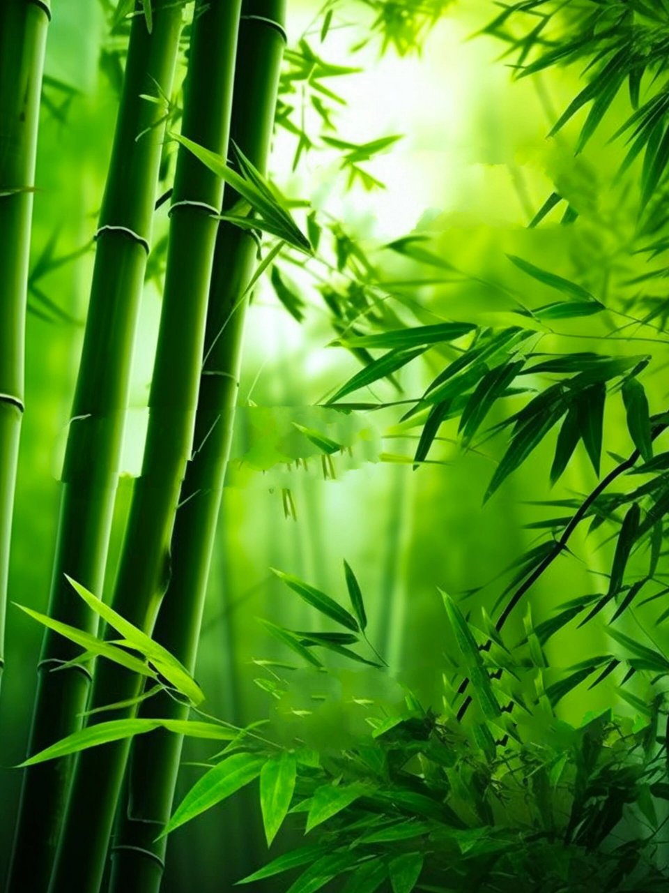 节节高升 好运连连‖利事业头像