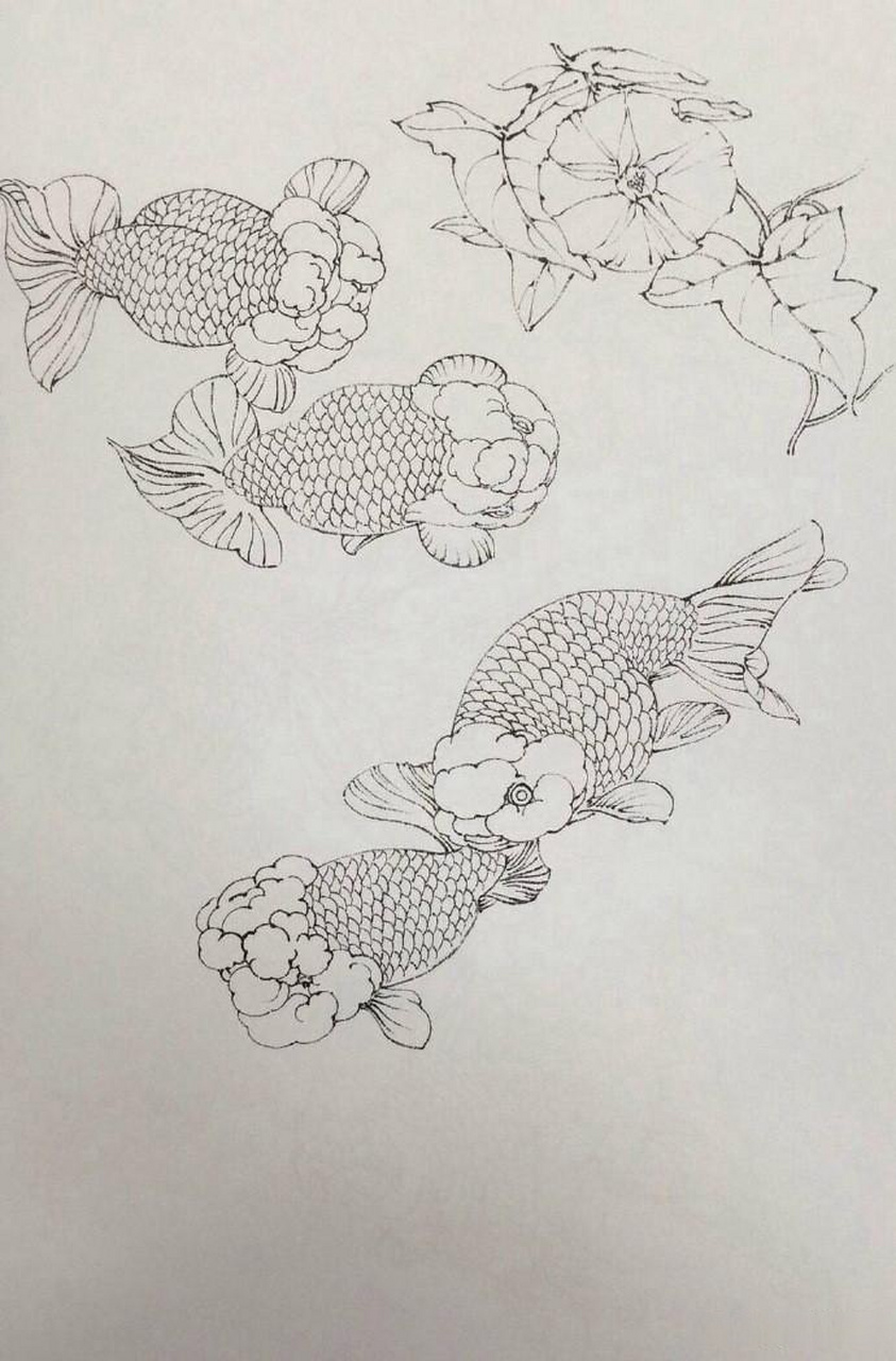 传统白描金鱼技法工笔画白描国画中国画