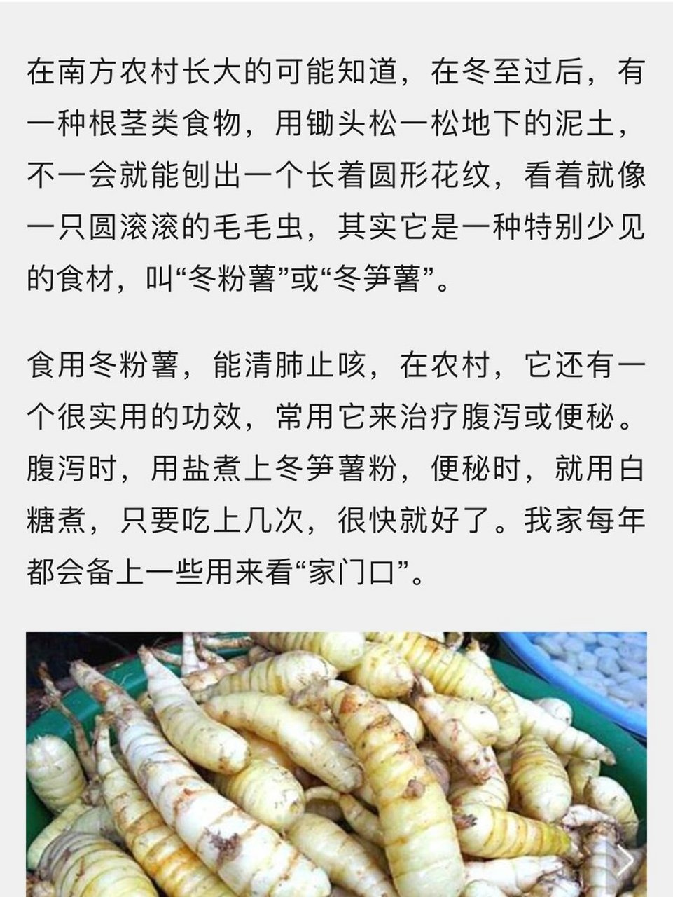 冬粉薯 功效图片