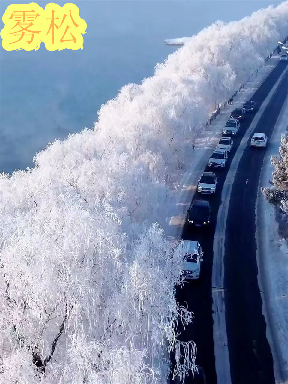 雪凇与雾凇的区别图片图片