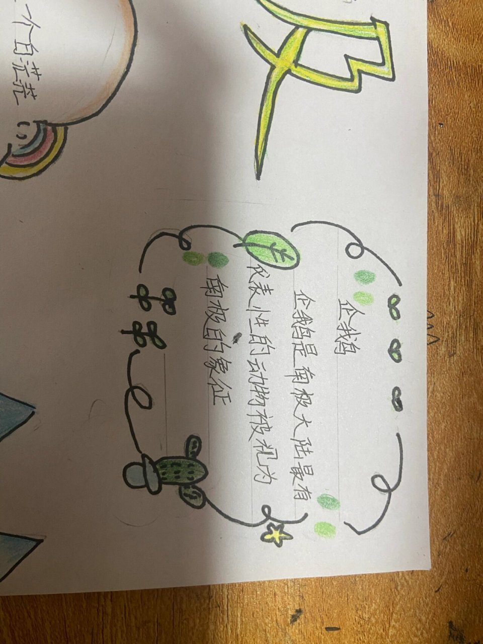 走进南极手抄报