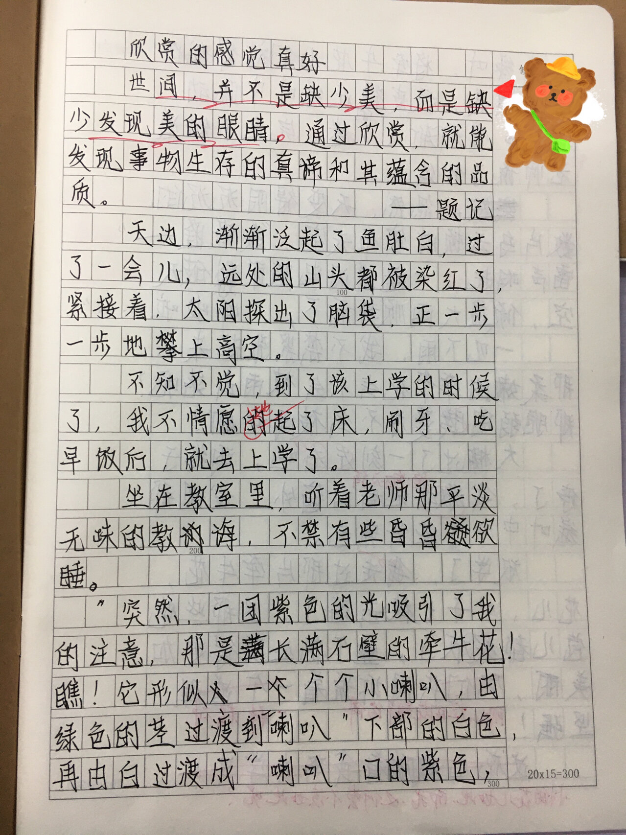 小学六年级随笔