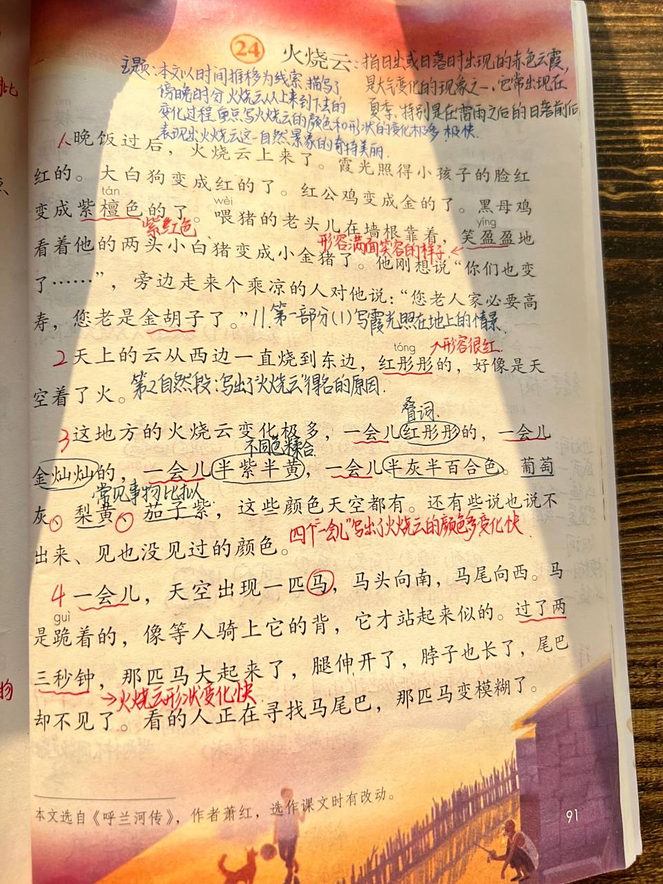 三年级语文下册第24课《火烧云》预习