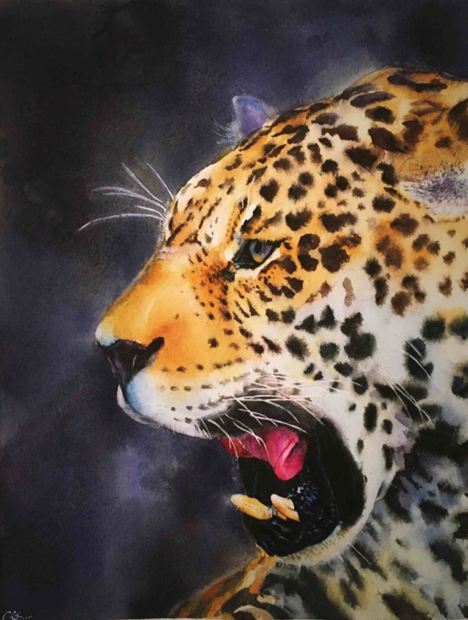 大神,画了我拍的豹子,我太喜欢了!画的真的太棒了!