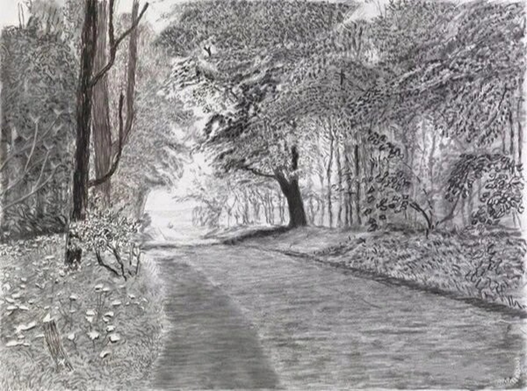 大卫·霍克尼 素描风景作品赏析 91大卫·霍克尼,1937年生于英国