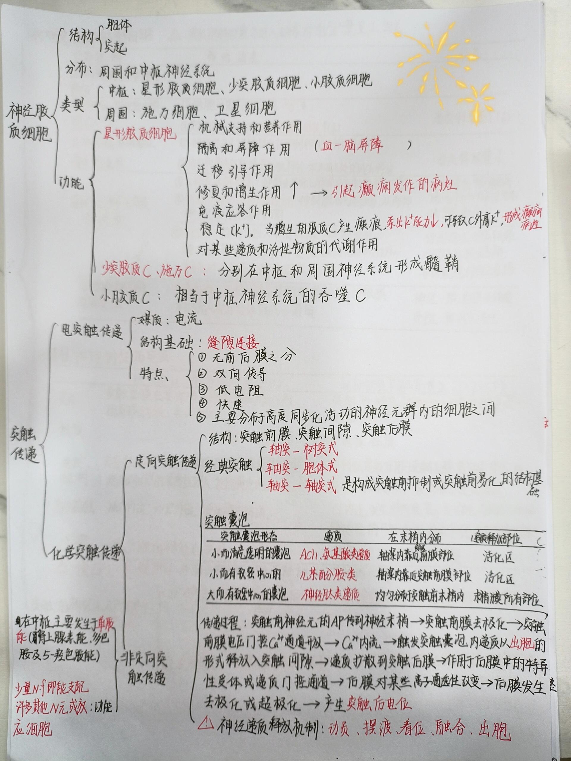 生理 神经系统的功能 笔记打卡 73神经系统的功能 神经元,神经胶质