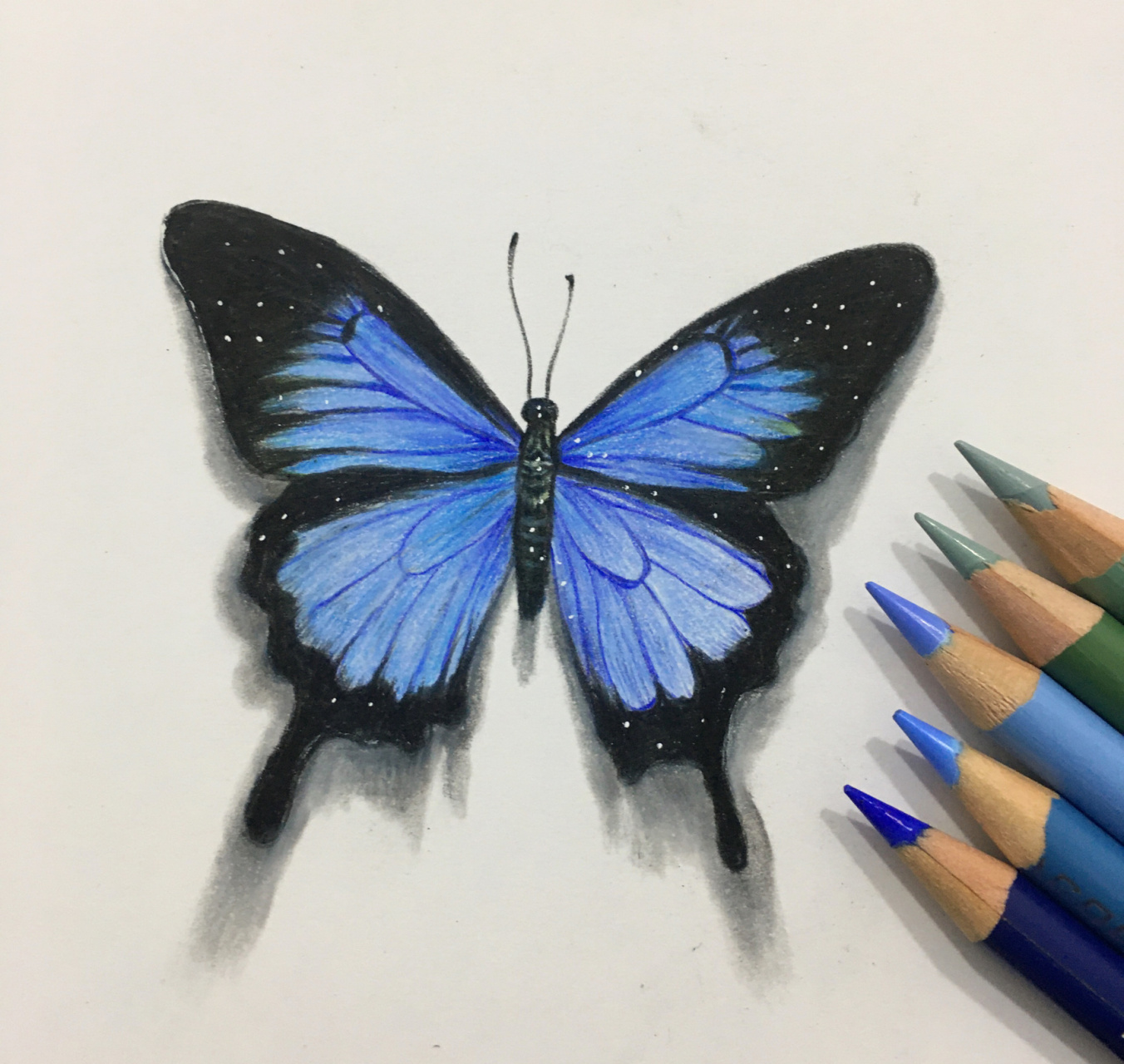 彩铅手绘蝴蝶教程(带文字详细过程) 一只蝴蝶的手绘教程 绘画工具