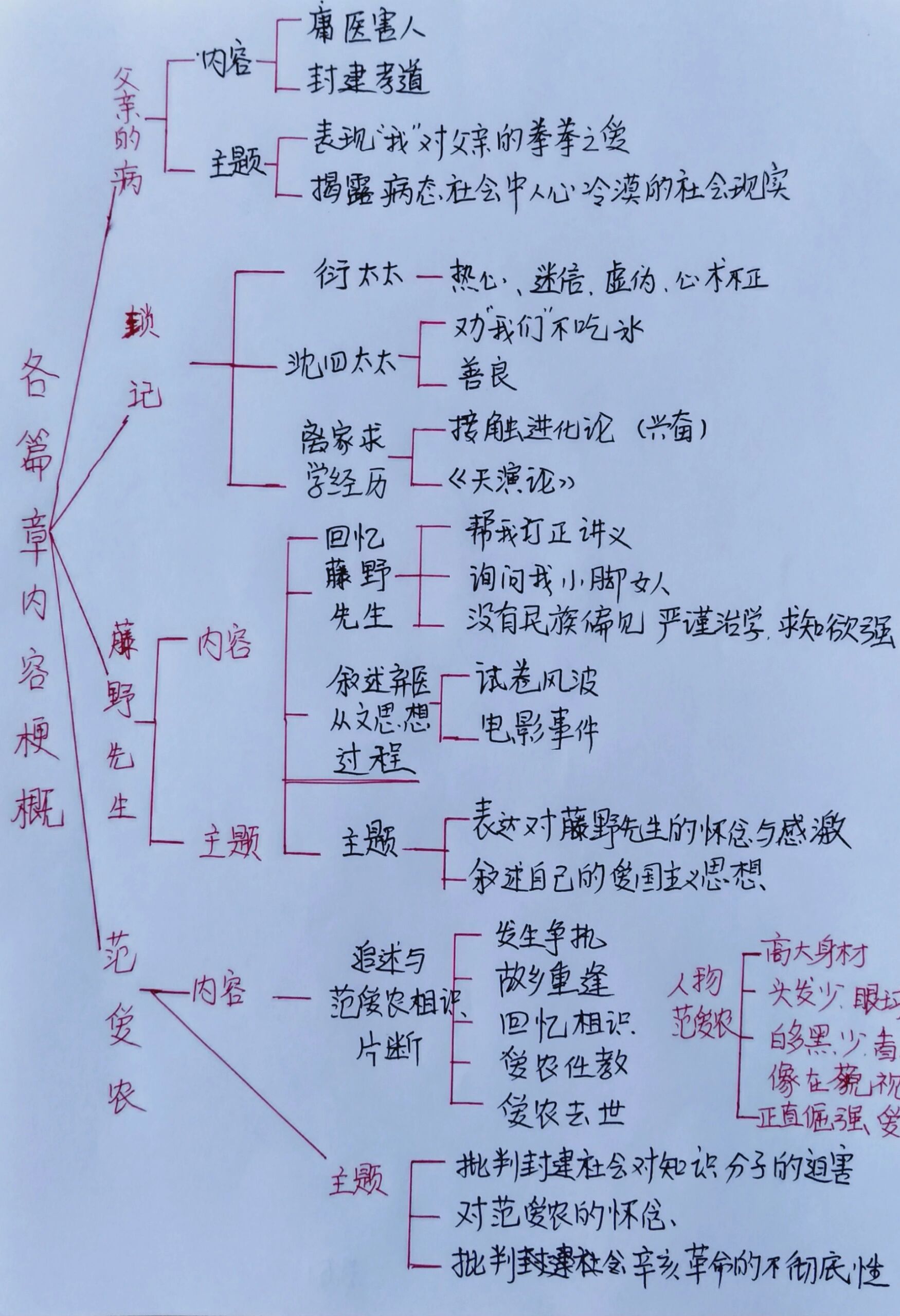 朝花夕拾人物梳理图图片