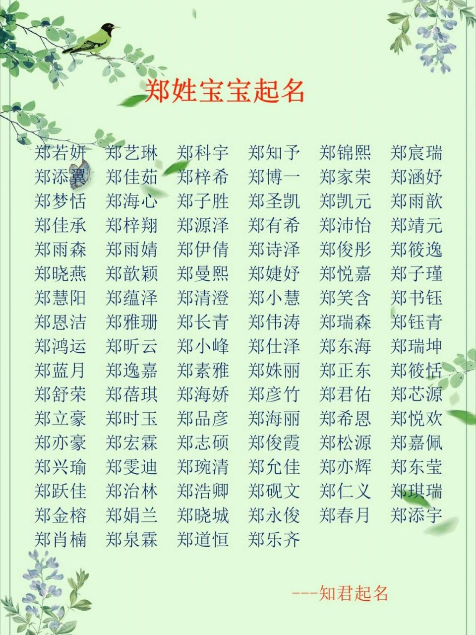 �郑姓男孩女孩名字大全精选,郑姓宝宝起名改名,令人惊艳的
