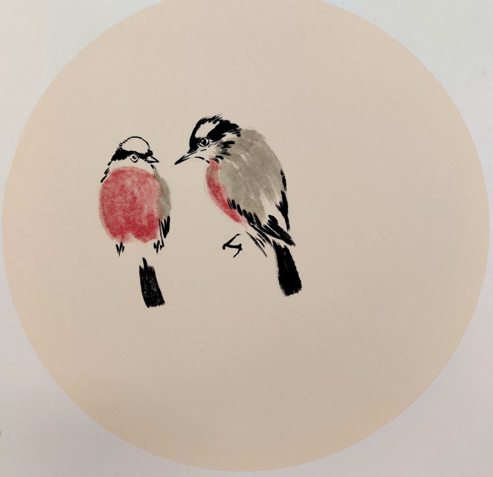 国画 ▏鸟---白头翁 6.7岁可画