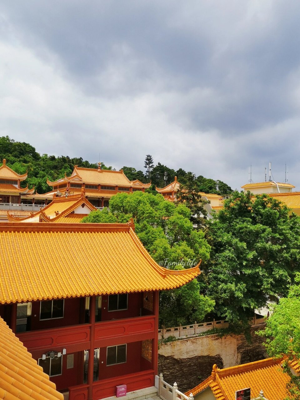深圳寺庙弘法寺|生日开放日来上香拜佛祈福 今天生日 ,早起来弘法寺