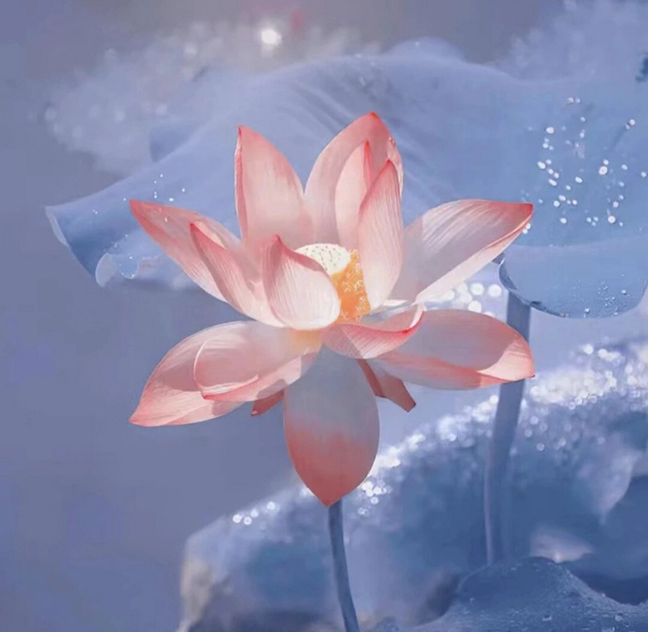 头像|上善若水 如梦令·常记溪亭日暮 宋 · 李清照 常记溪亭日暮