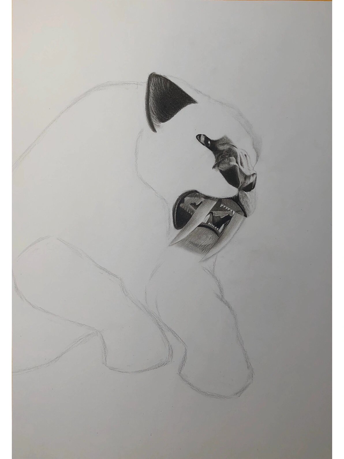 【素描动物】老虎的祖先-凶猛的剑齿虎91