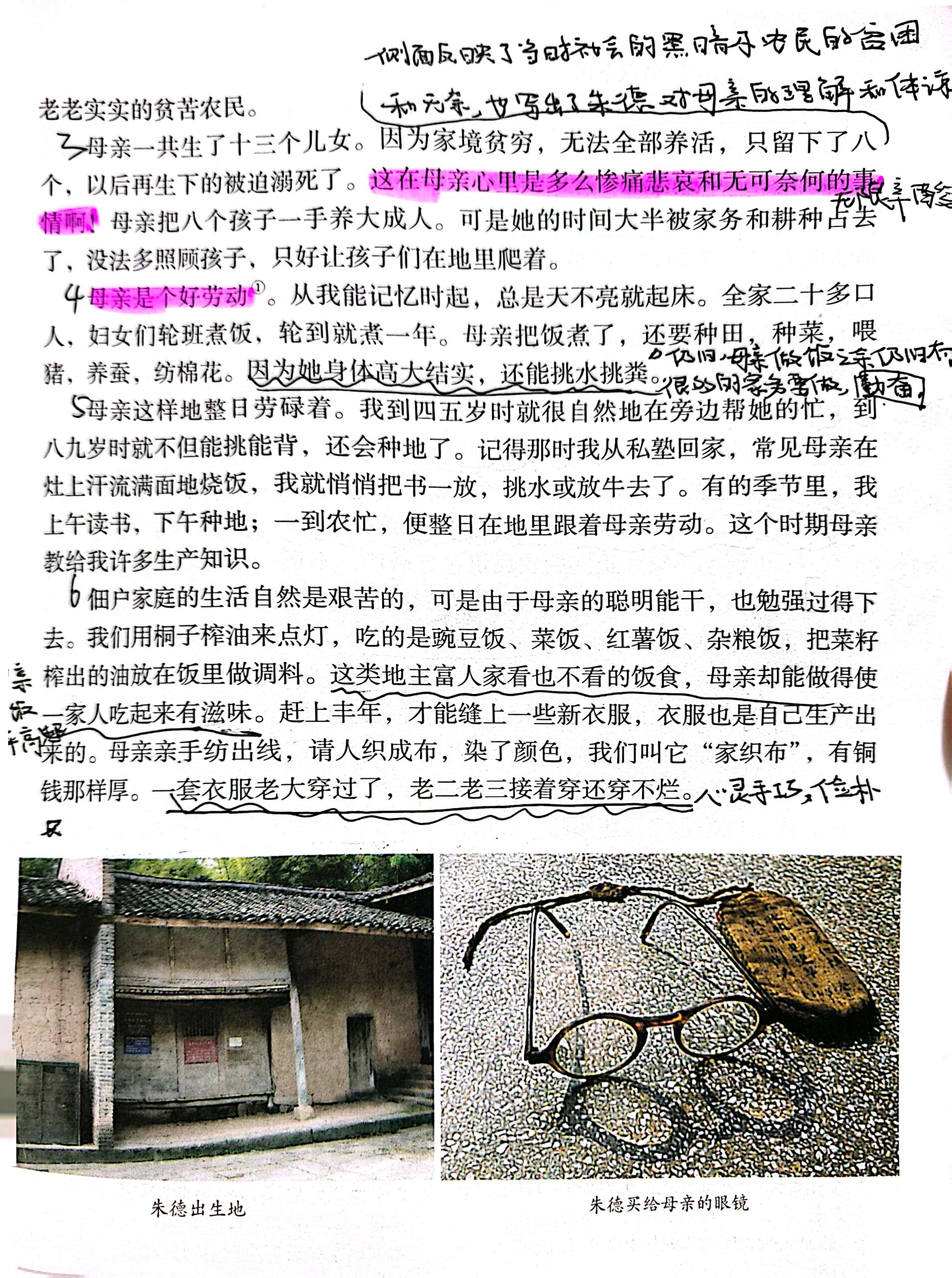 《回忆我的母亲》笔记图片