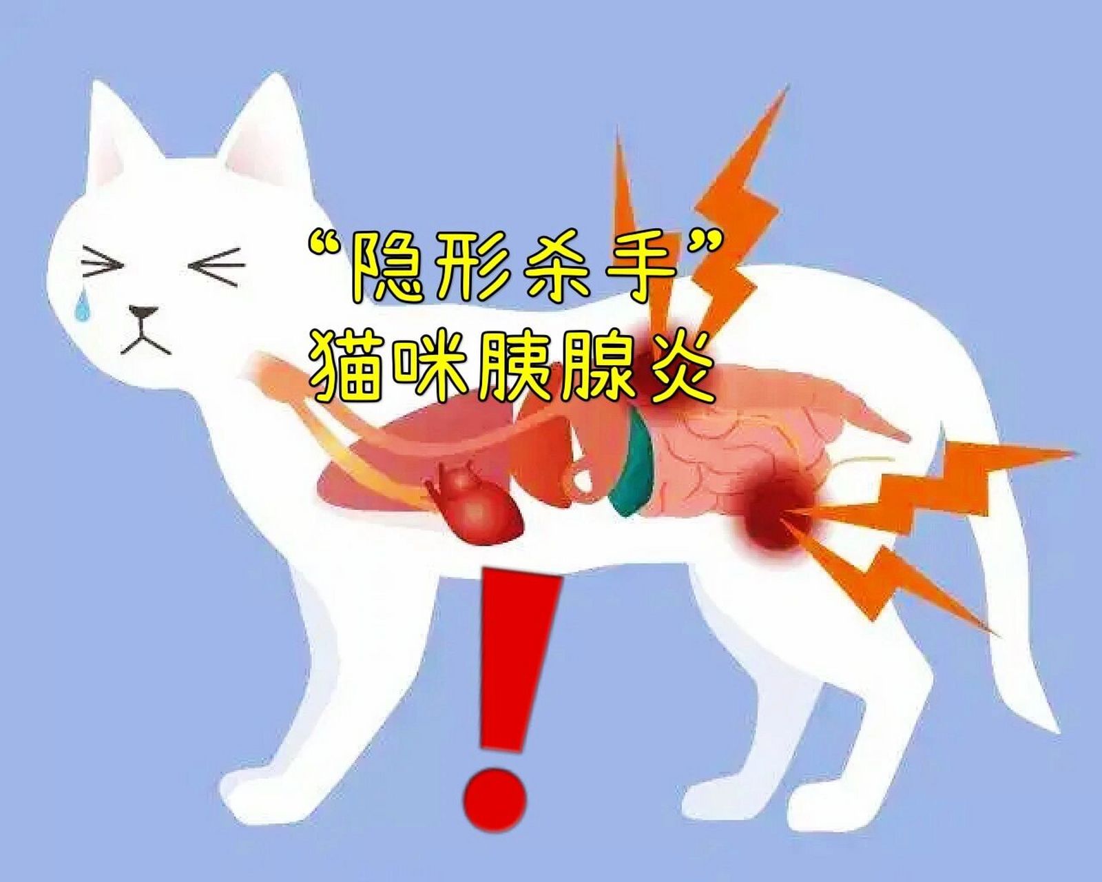 猫胰腺炎症状图片
