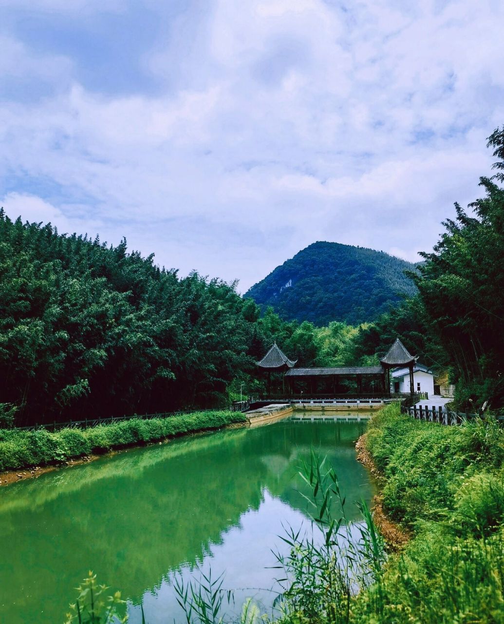 重庆周边游02梁平百里竹海 想逃离40多度的高温,远离城市的喧嚣