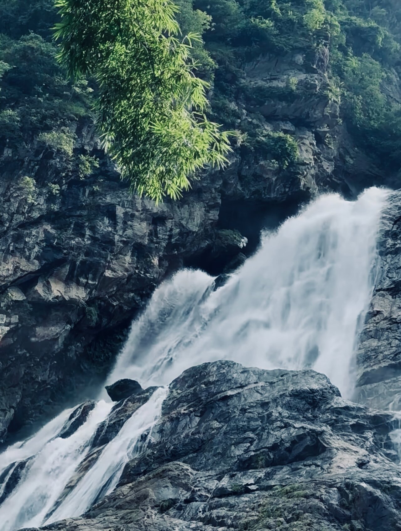 玉溪哀牢山 | 南恩瀑布 "超全哀牢山日出云海攻略" 	 98一定点赞