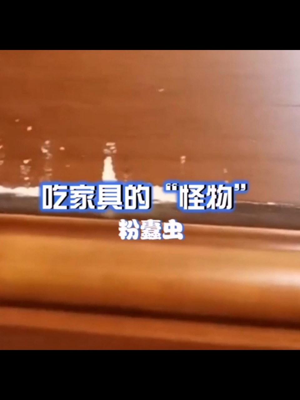 蛀木虫最佳消灭方法,家具蛀虫处理方法 蛀木虫最佳消
