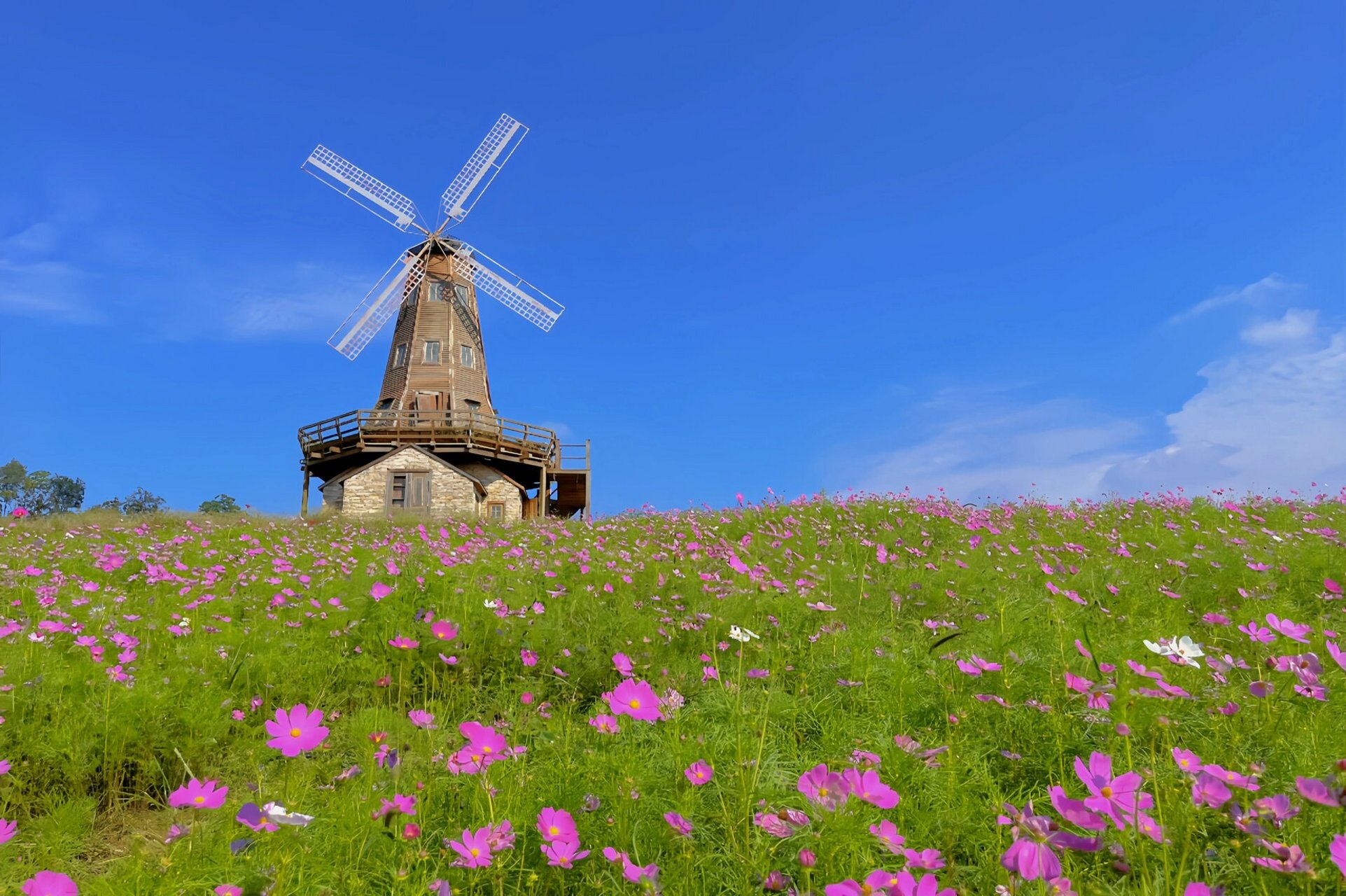 南京city walk-大塘金香草谷 建议自驾游,整体环境和空气都很好,庄园