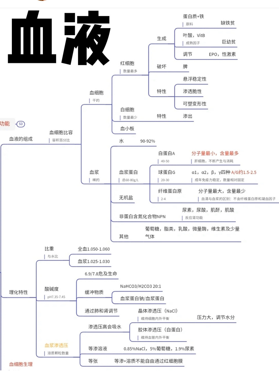 血液,心脏泵血功能,血管生理思维导图